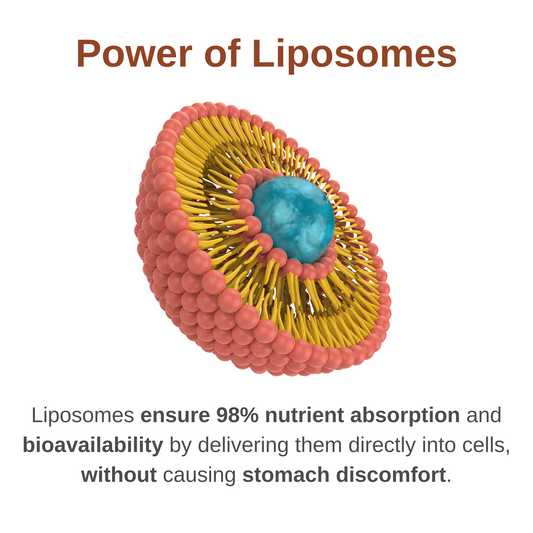Whole Family Liposomal Multivitamin bundle