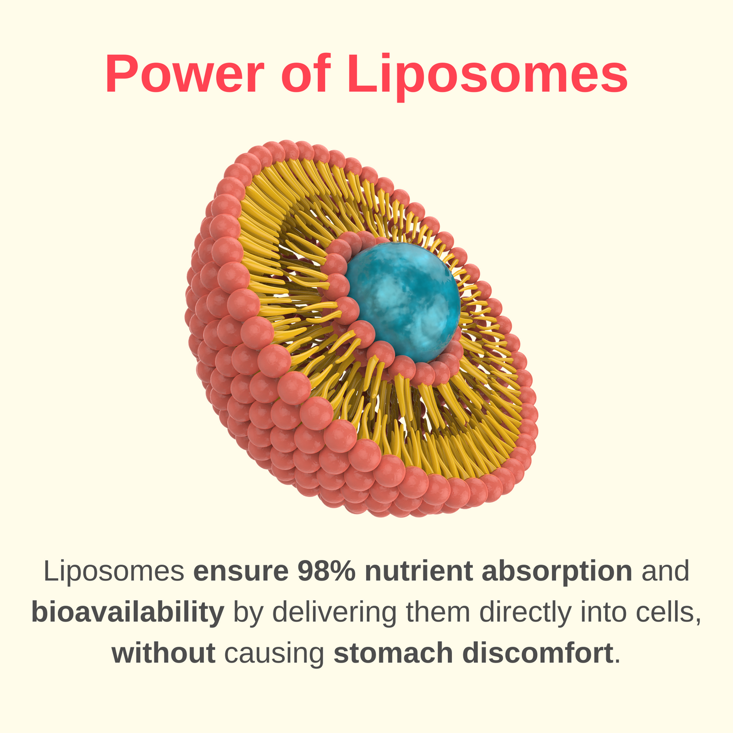 Liposomal Collagen Booster Liquid Vitamins