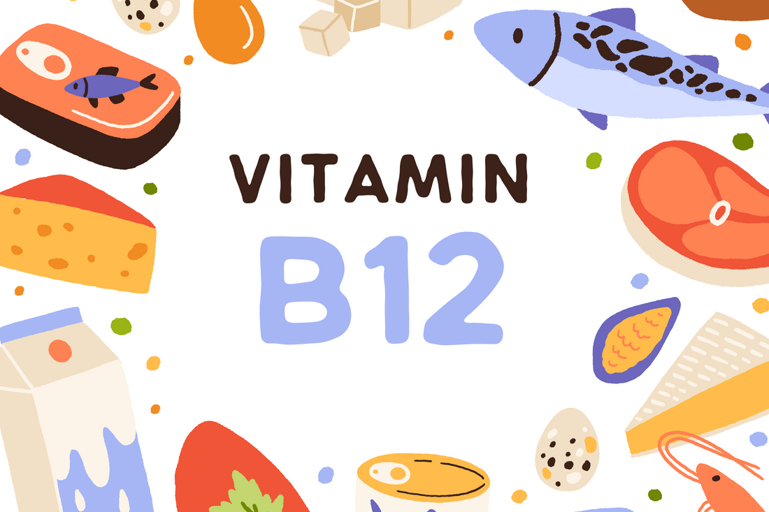 The Importance of Vitamin B12: Why You Need It and How to Get It