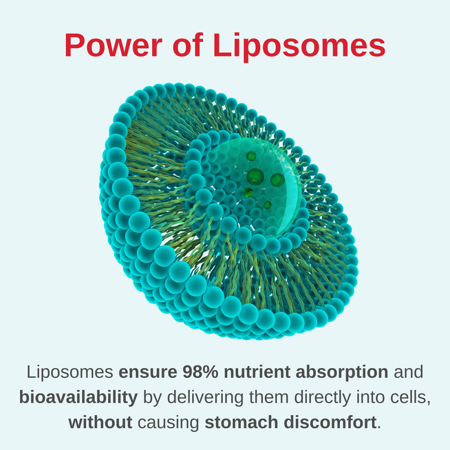 Liposomal Women's Liquid Multivitamin-IRON FREE