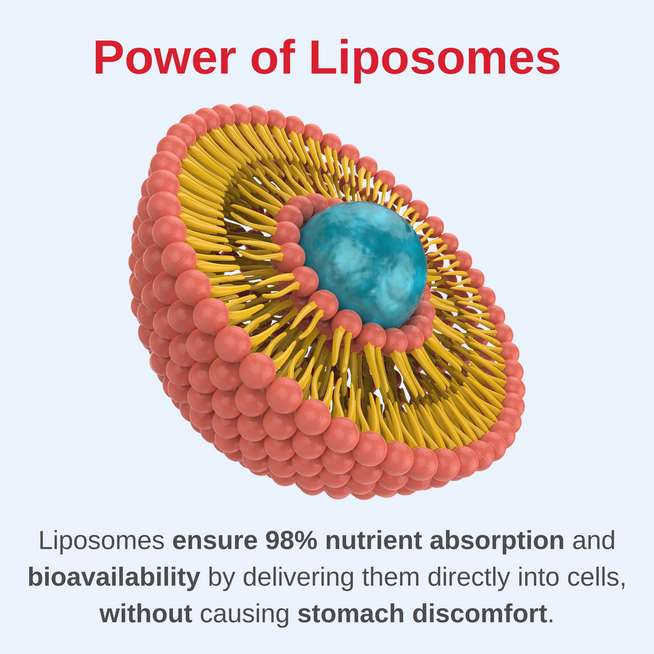 Liposomal Immune Booster Liquid Drops