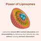 Liposomal Men's 50+ Liquid Multivitamin