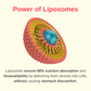 Liposomal Collagen Booster Liquid Vitamins