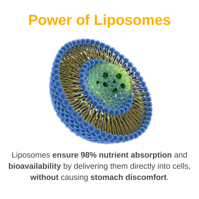 Liposomal Men's Liquid Multivitamin
