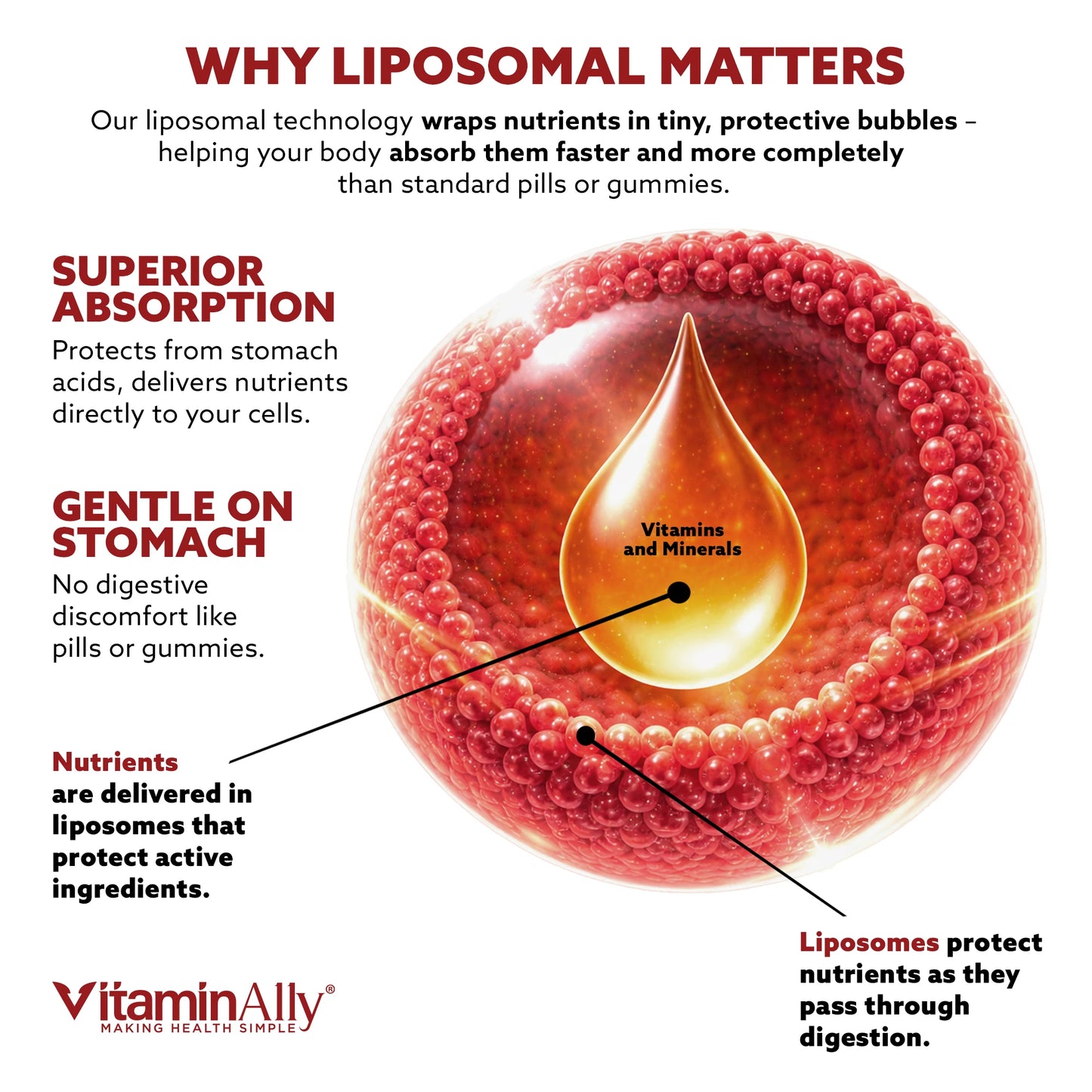 Liposomal Men's 50+ Liquid Multivitamin