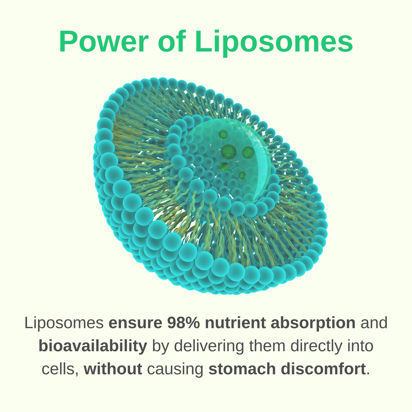 Liposomal Prenatal + Postnatal With Iron