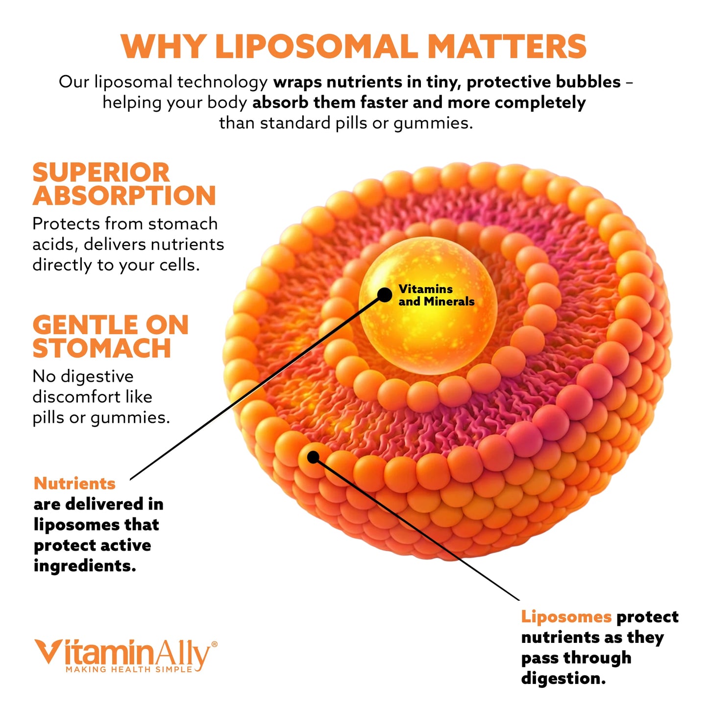 Liposomal Women's 50+ Liquid Multivitamin