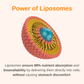 Liposomal Women's 50+ Liquid Multivitamin